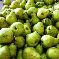 Požega dobija Regionalni distributivni centar vrijedan 15,6 miliona eura