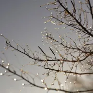 Još jedna topla zima pred nama: Više kiše i snijega u naletima, ali bez dugog minusa