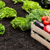 Hrana ide prema novom poskupljenju: Poljoprivrednici pod velikim pritiskom