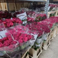 Sarajevo miriše na ruže: OTOKA BAMBUS d.o.o. spreman za Dan žena