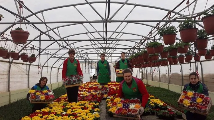 Farma 2 Projekt - Žene predvode nove prakse u poljoprivredi