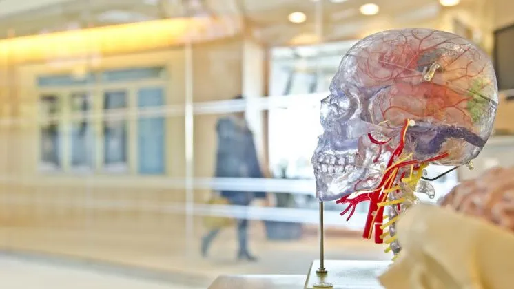 Mostarka osvojila prvu nagradu Evropskog društva za humanu genetiku