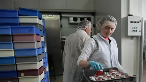 BiH uputila zahtjev za izvoz mlijeka i meda u Kinu