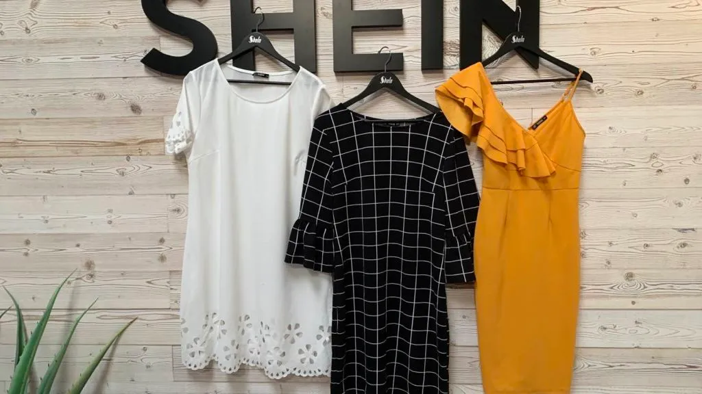Shein kažnjen sa 40 miliona eura u Francuskoj zbog obmanjujućih poslovnih praksi