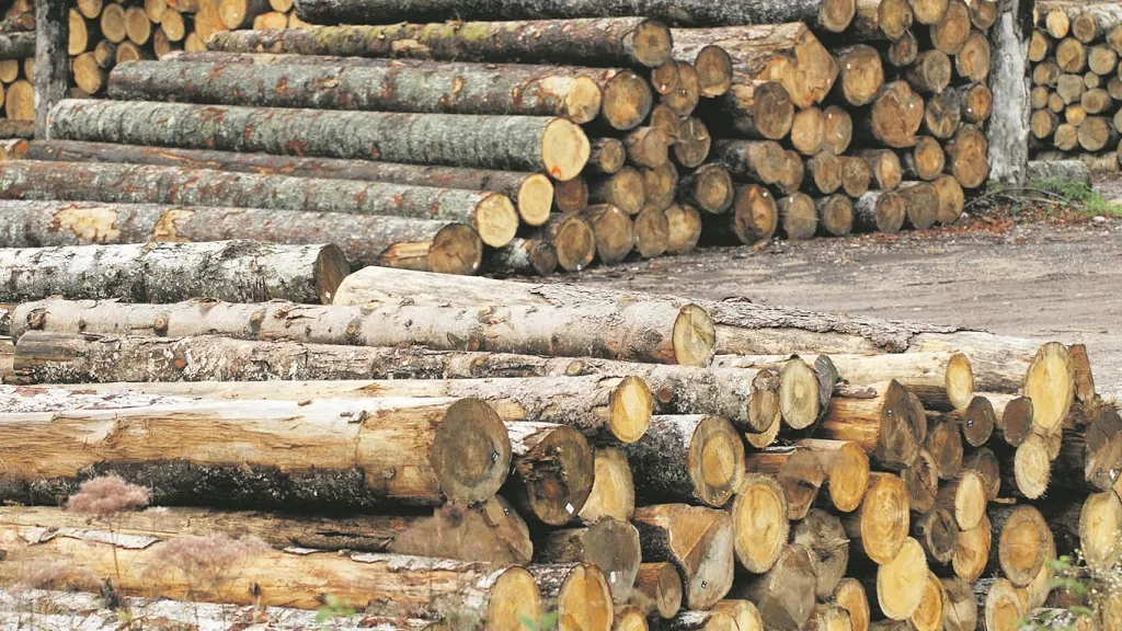 Izvoz drvnog sektora BiH u prošloj godini iznosio je oko 1,8 milijardi KM