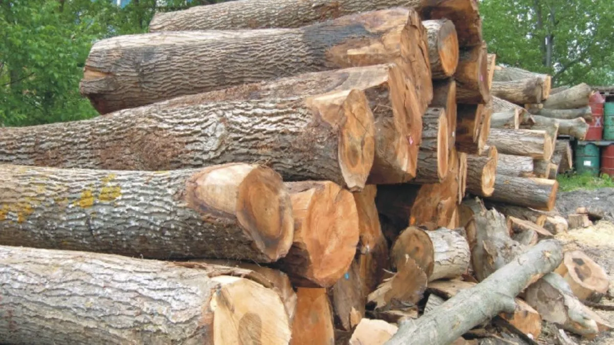 Izvoz drvne industrije u padu