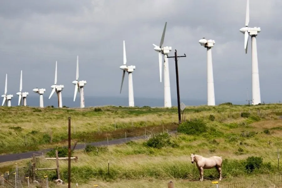 Njemačka suočena s nedostatkom kvalifikovane radne snage za klimatski neutralnu energiju