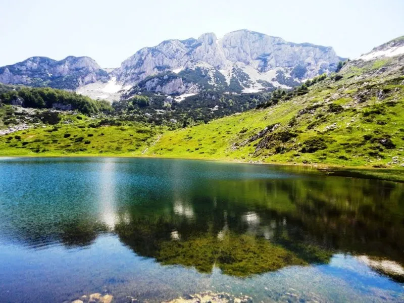 WWF Adria : Otvoren poziv za prijavu malih grantova OCD u okviru projekta “Zaštićena područja za prirodu i ljude II