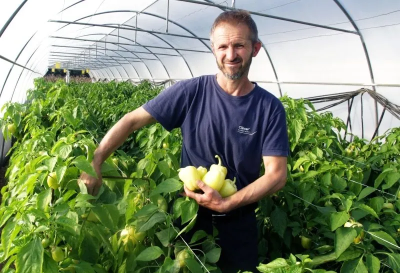 EU4AGRI: Agrofood iz Konjević Polja udvostručio proizvodnju