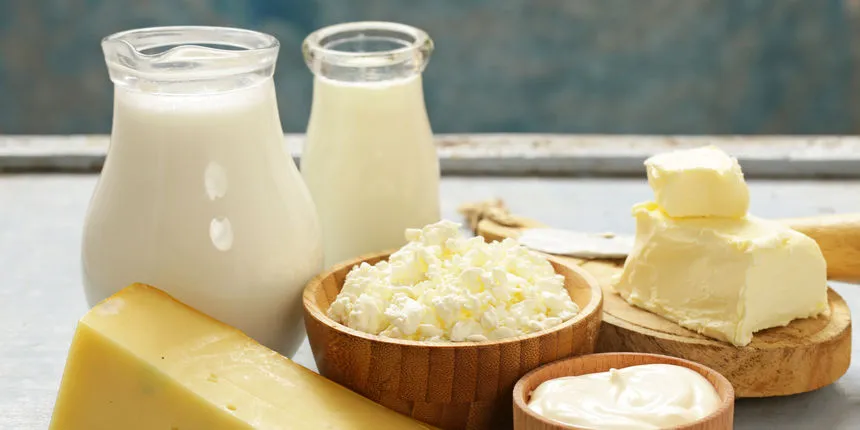 Mliječna industrija: Ajla, Nadina i Sehija svoju budućnost vide u Bosni i Hercegovini