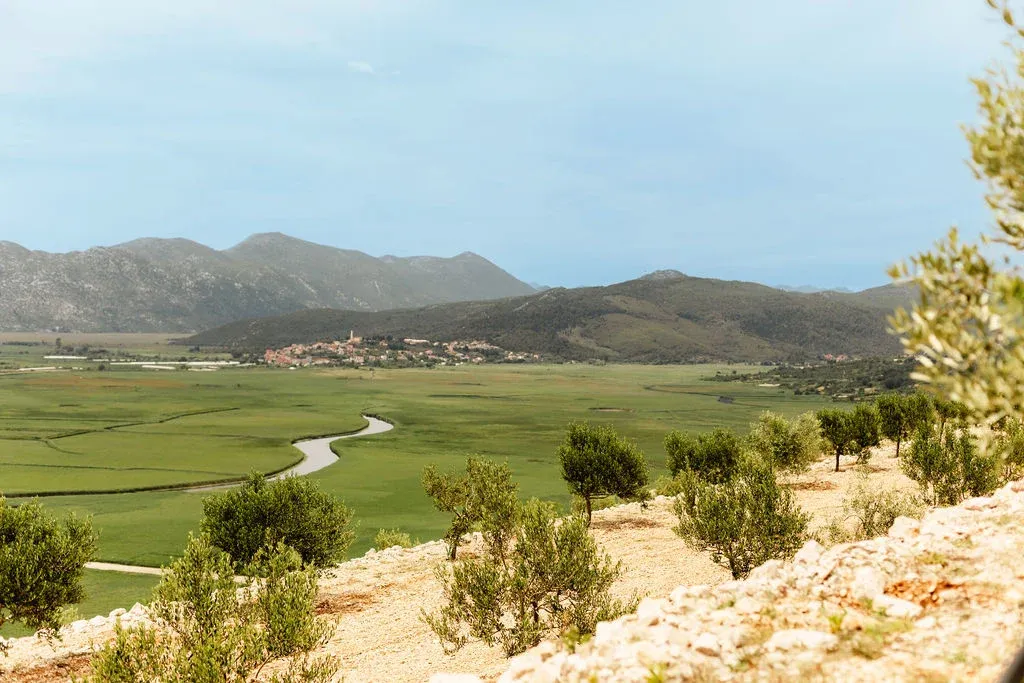 AgroHerc Organic: 2025. godina – godina uspjeha, rasta i svjetskih priznanja 