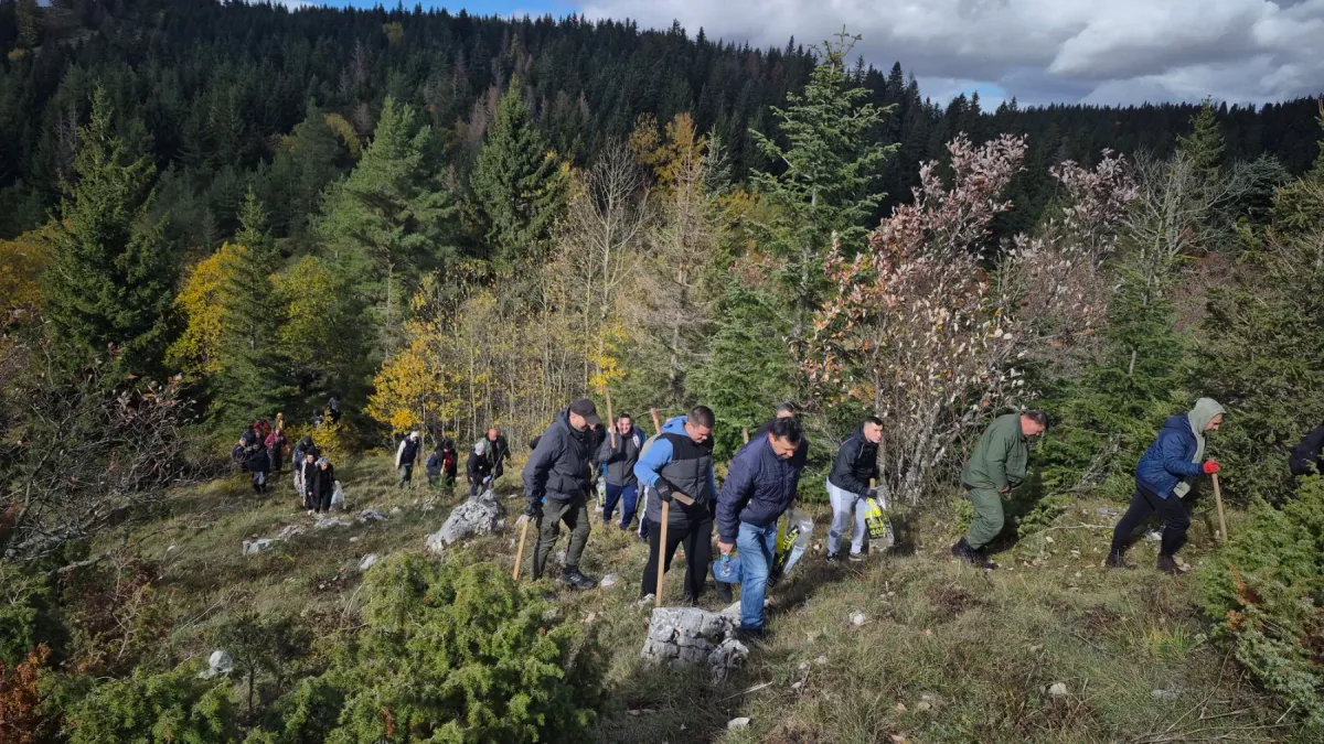 Uposlenici Centrotransa u akciji pošumljavanja – 1.200 novih sadnica na Igmanu 
