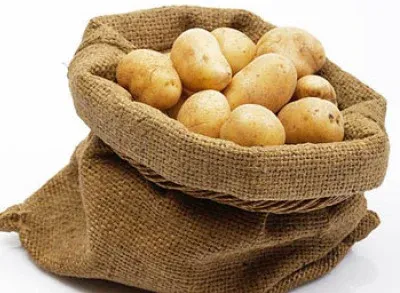 Veliki projekat u Rogatici: Pokreće se pogon za preradu krompira