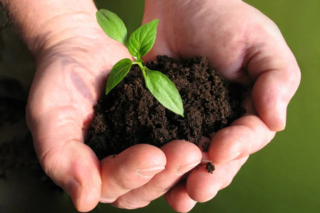 Obilježen Međunarodni dan volontera i Svjetski dan tla