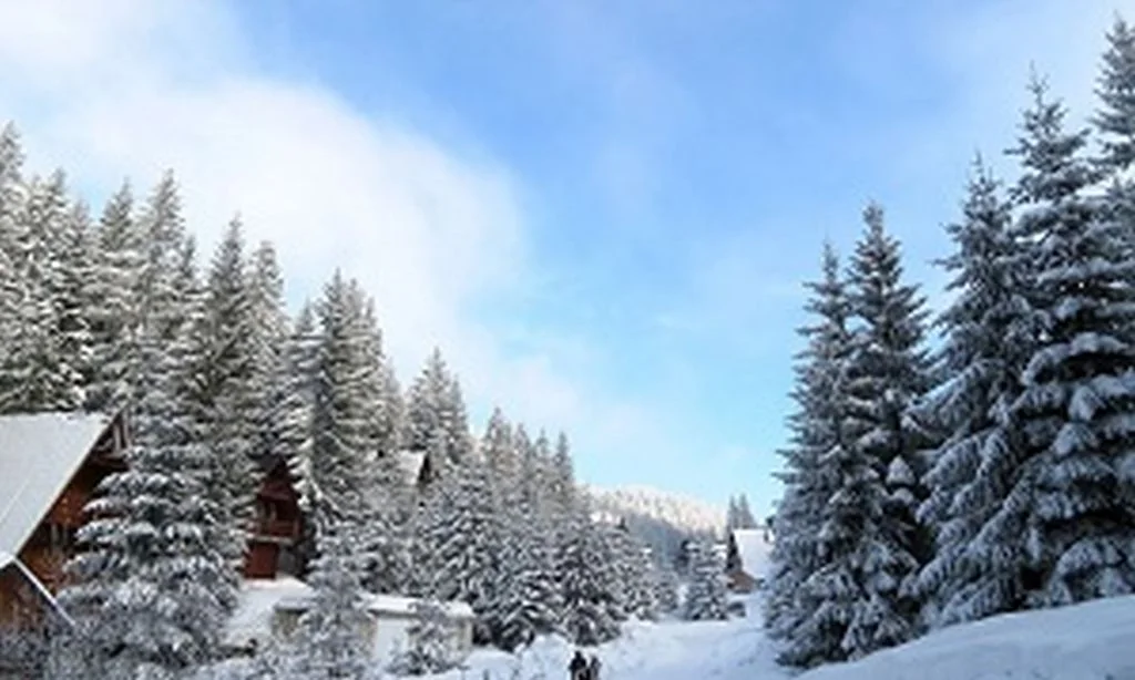 Turski konzorcij ne odustaje od projekta "Eko-zona Korićani Vlašić"