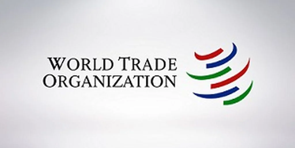 BiH bi do kraja godine mogla postati punopravna članica WTO