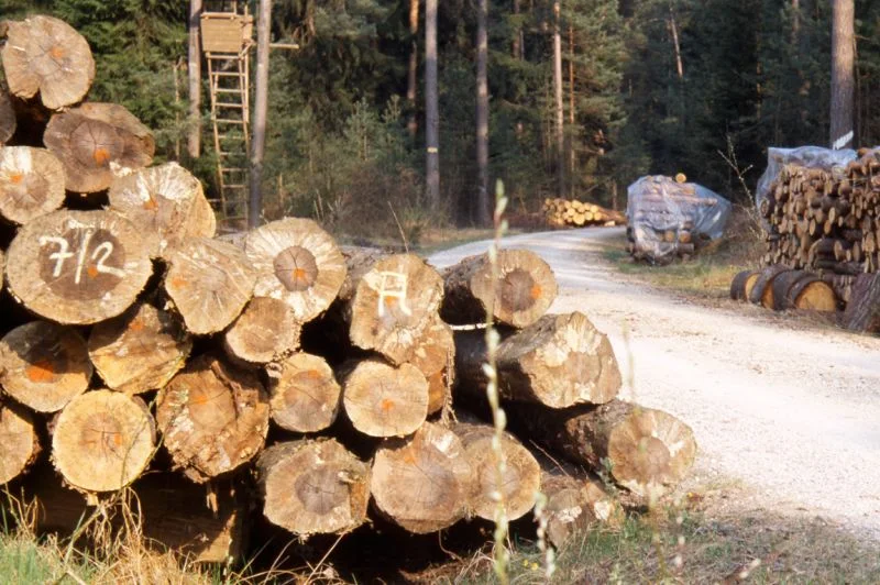 Potrebe drvoprerađivača u Unsko-sanskom kantonu dvostruko veće od ponude