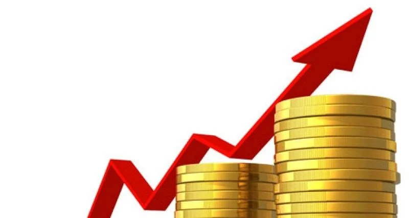 Zabilježen porast direktnih stranih investicija u BiH