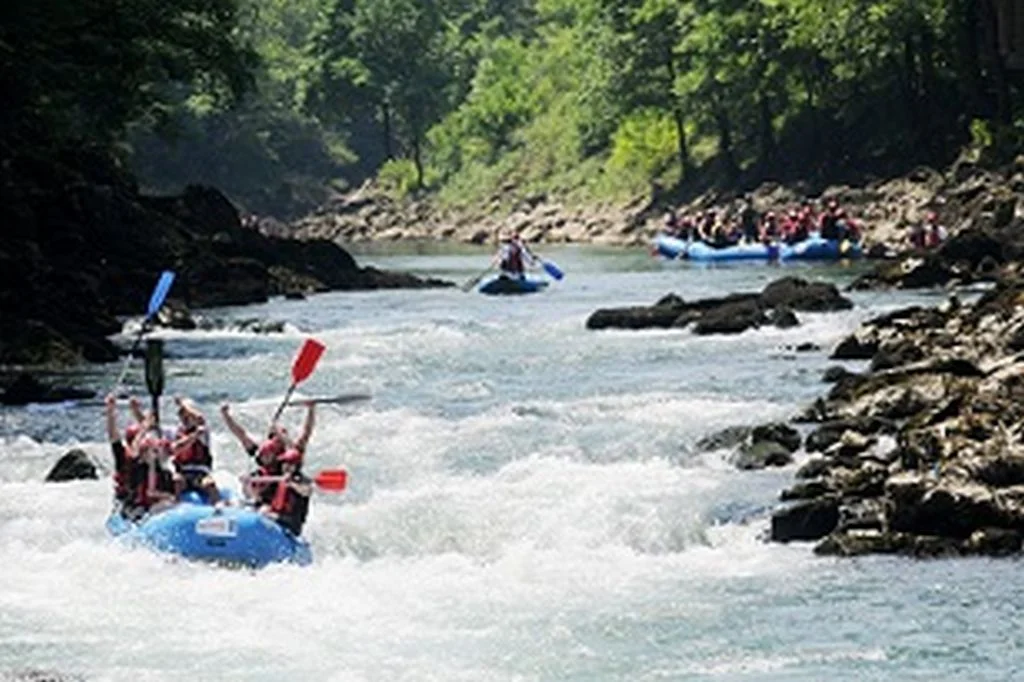 Nova globalna vizija Coca-Cole za svijet bez otpada