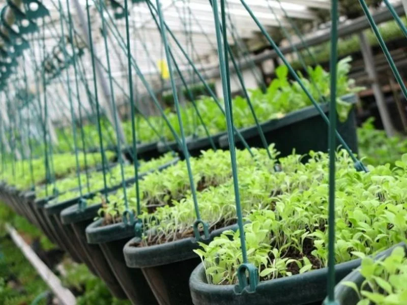 U općini Stari Grad prezentovan projekt "Urbana poljoprivreda"