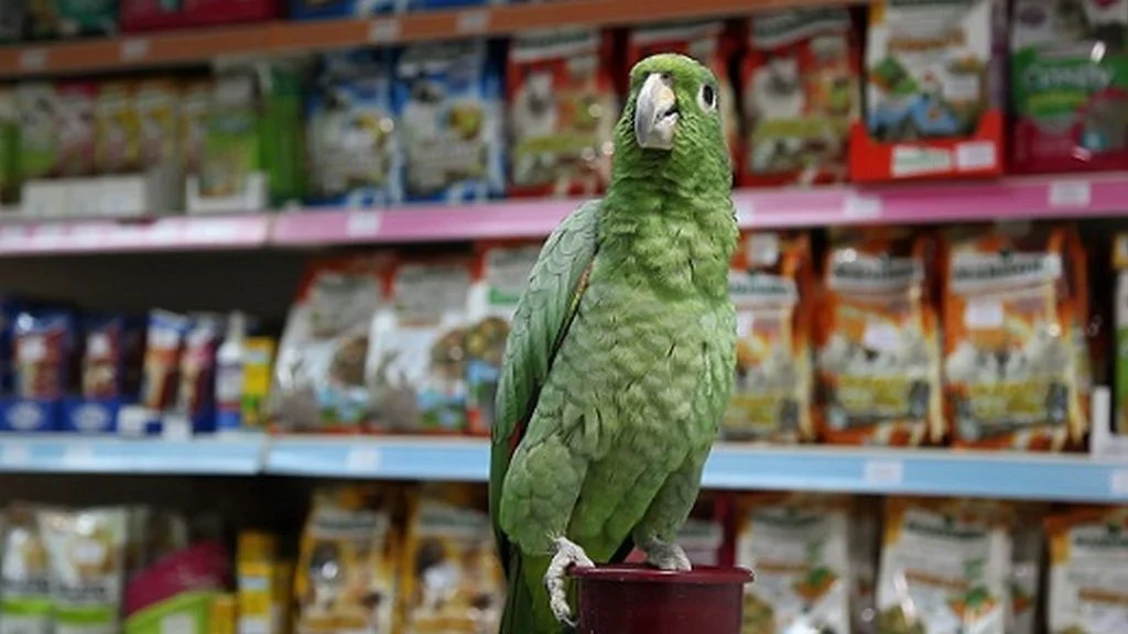 Kako je kompanija ZOO centar ostvarila brzi rast: Sve što je potrebno je ljubav