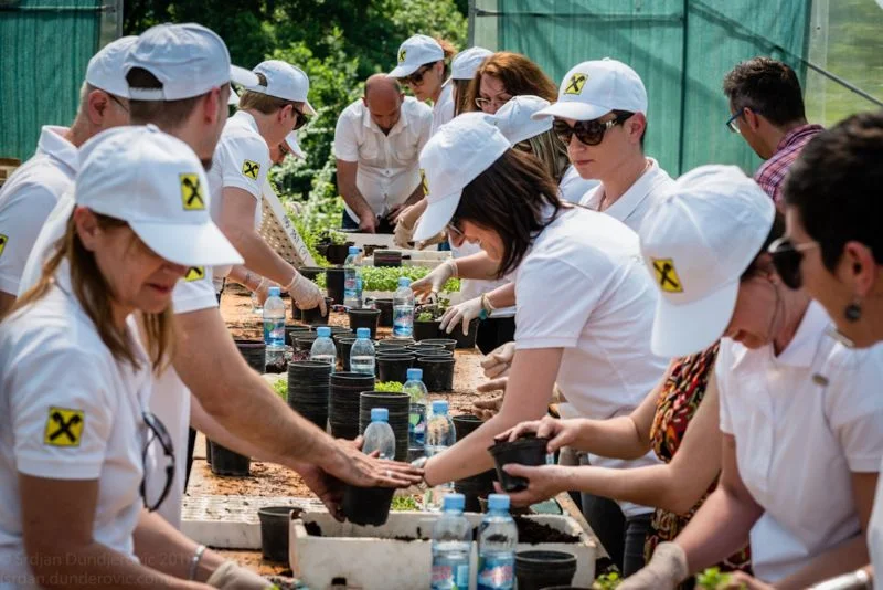 Volonterske aktivnosti menadžmenta Raiffeisen banke