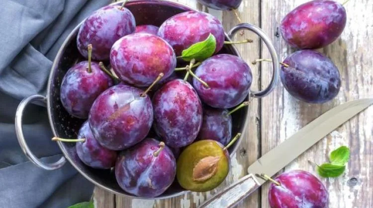 Održana radionica Osnove Global GAP standarda