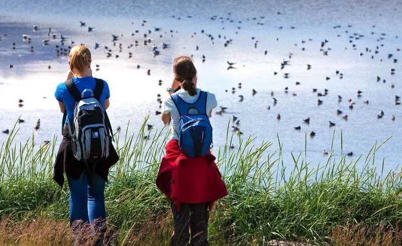 Turisti zainteresovani za posmatranje ptica u BiH