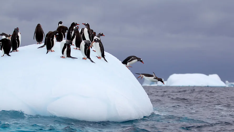 Znate li tko su najbogatiji pojedinci na kontinentima?