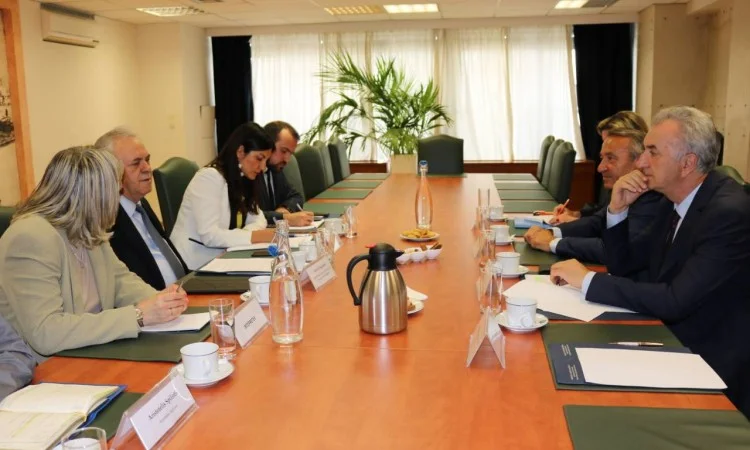 Grci bi mogli dodatno investirati u vlaseničku Aluminu