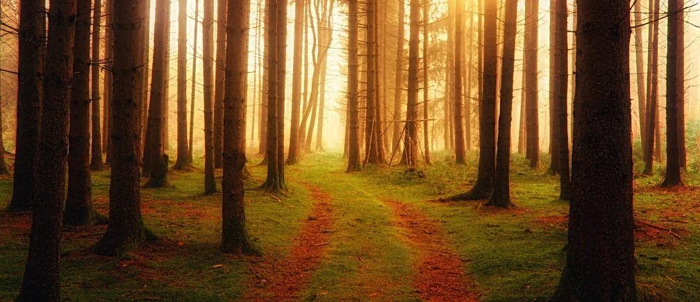 Hoćete li preživjeti četvrtu industrijsku revoluciju?