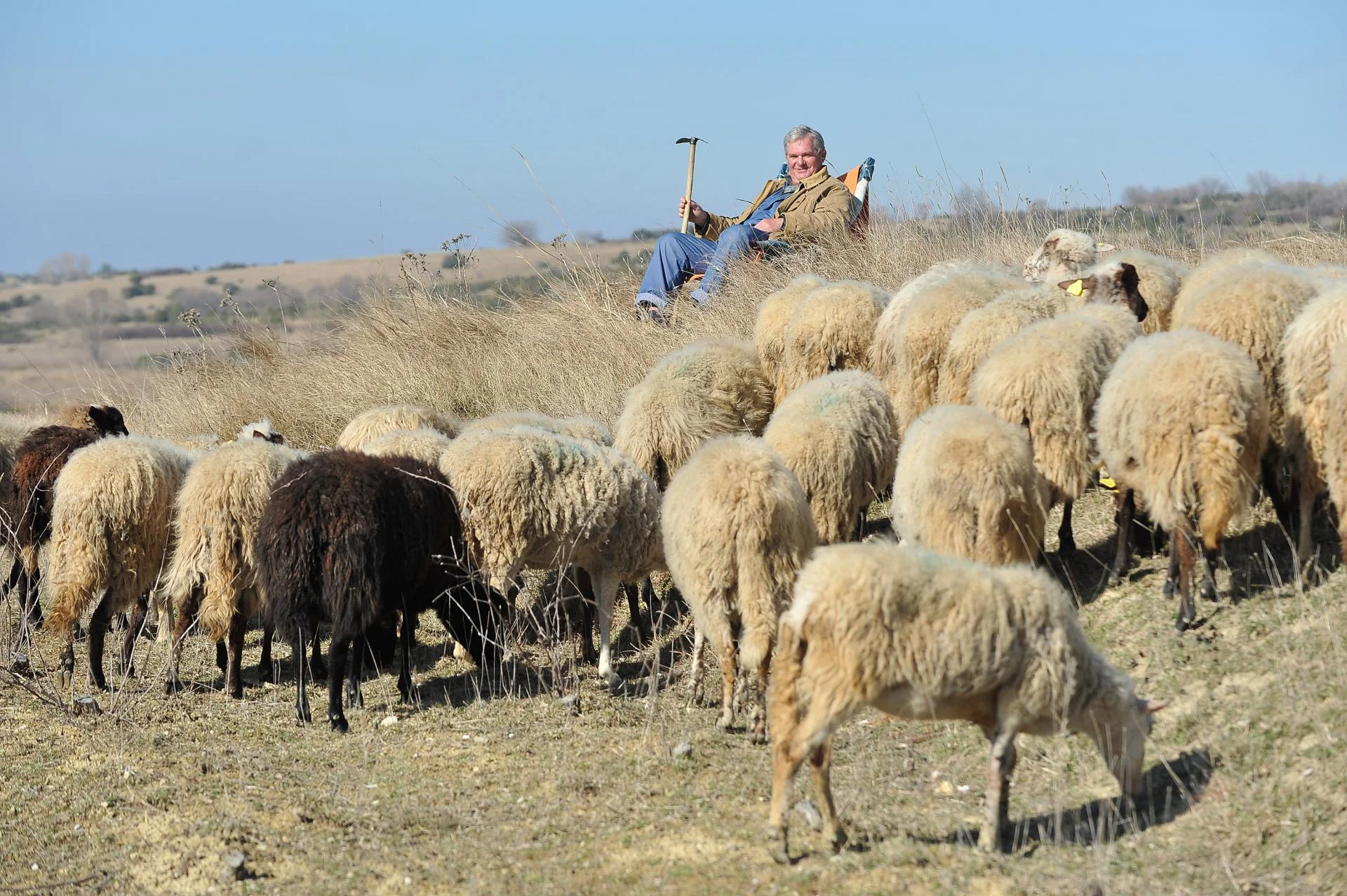 Bugojanski ovčari i kozari traže hitnu isplatu federalnih poticaja