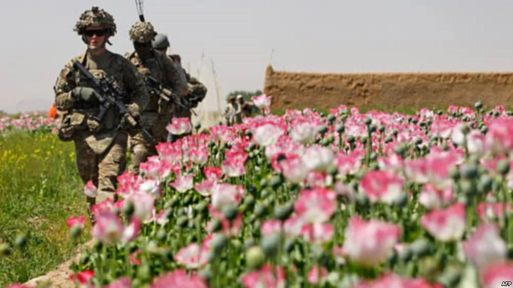 Novi rekord svjetske proizvodnje kokaina i opijuma