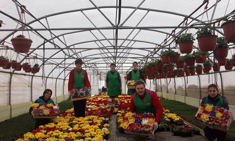 Farma 2 Projekt - Žene predvode nove prakse u poljoprivredi
