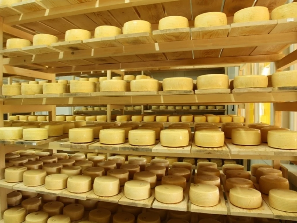 Eko sir Puđa pobjednik Festivala sireva Balkana