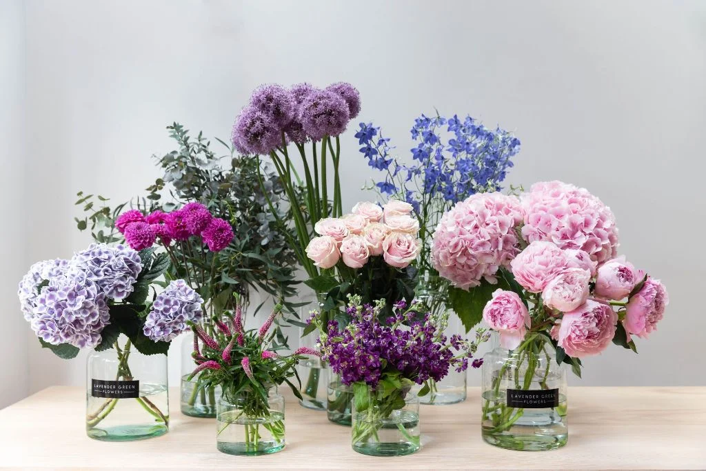 Ove biljke uklanjaju negativnu energiju iz vašeg doma