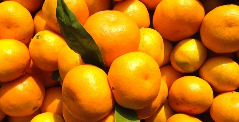 Inspekcija RS zabranila uvoz više od 20 tona mandarina iz Turske