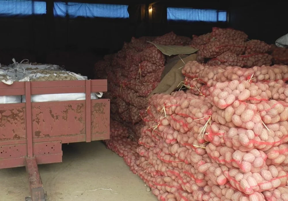 U RS zabranjen uvoz 63 tone krompira iz Poljske