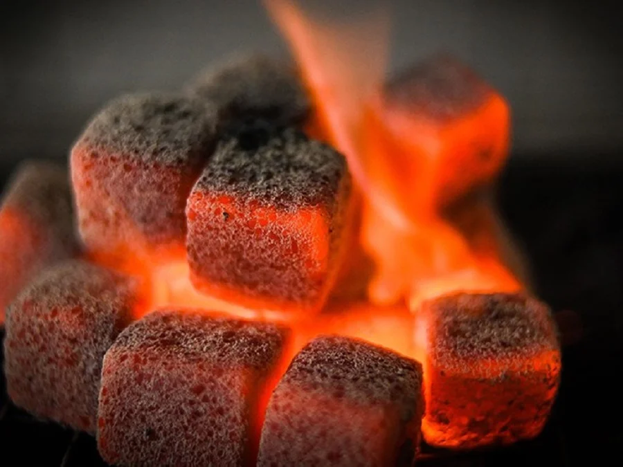 Holz Service uvozi i prodaje brikete od kokosovog i bambusovog drveta