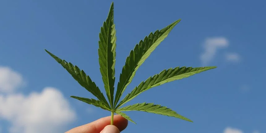 British American Tobacco: Kanabis je dio budućnosti