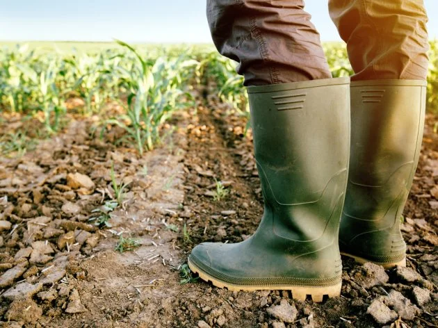 Poljoprivrednici u FBiH traže pomoć vlasti zbog najveće suše u posljednjih 50 godina