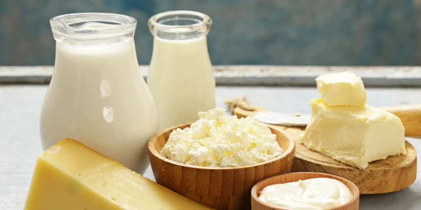 Mliječna industrija: Ajla, Nadina i Sehija svoju budućnost vide u Bosni i Hercegovini