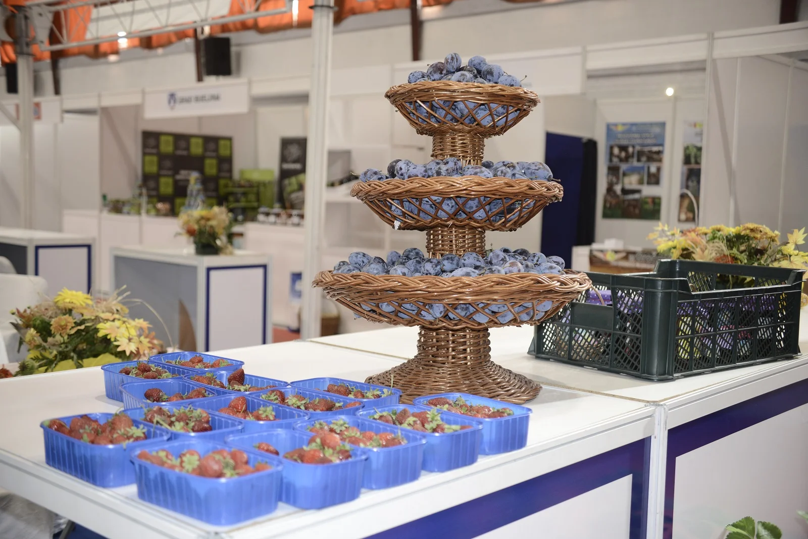 Krajem avgusta u Gradačcu se održava jubilarni 50. Sajam šljive