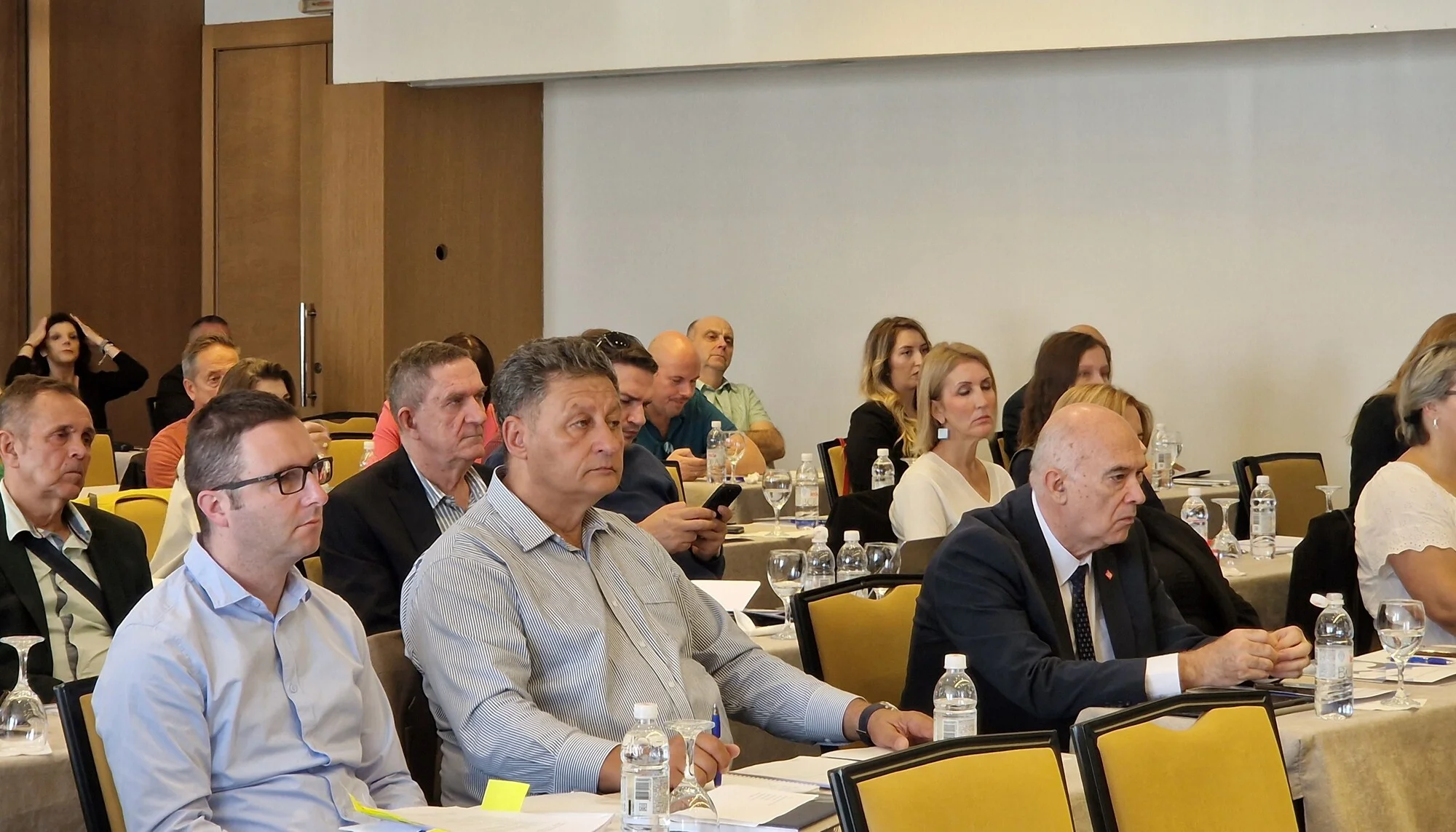 Podrška EU pravima intelektualnog vlasništva u BiH