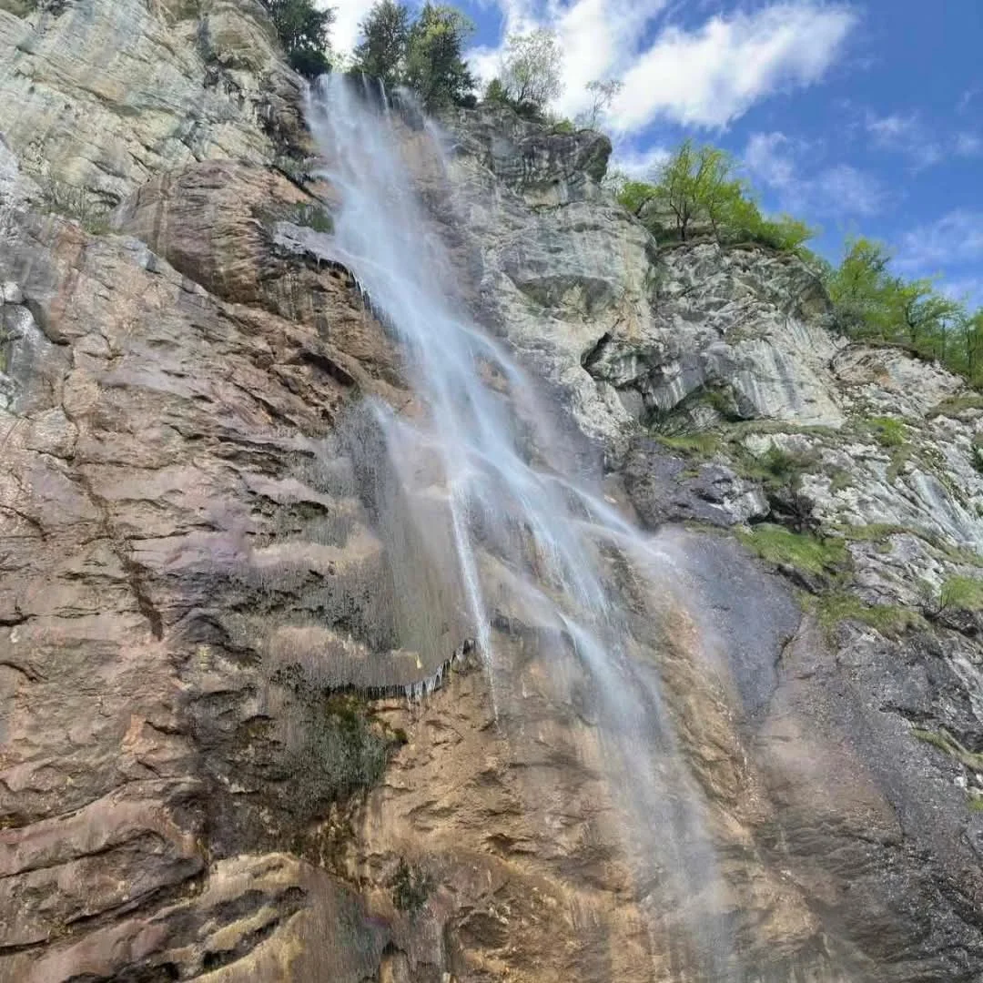 Skakavac kao primjer: Kako zajednički možemo čuvati i promovisati prirodu