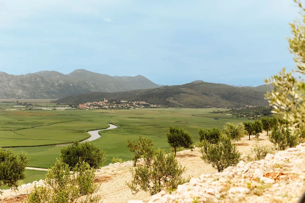 AgroHerc Organic: 2025. godina – godina uspjeha, rasta i svjetskih priznanja