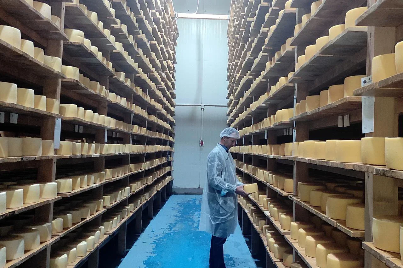 BiH dobila katalog prehrambenih proizvoda sa zaštićenim oznakama