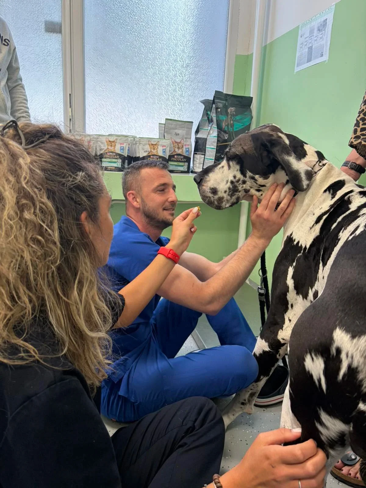 Otvoren Centar za dijagnostiku i poliklinika za male životinje KJP „Veterinarska stanica“ d.o.o. Sarajevo