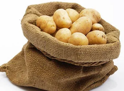 Veliki projekat u Rogatici: Pokreće se pogon za preradu krompira