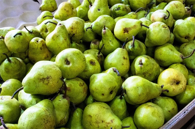 Požega dobija Regionalni distributivni centar vrijedan 15,6 miliona eura